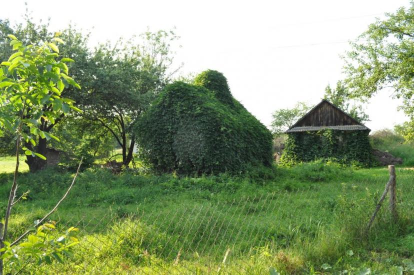 Заріцьк з panoramio.com - Зарецк