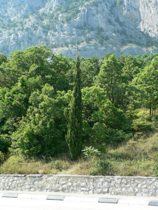 Санаторне з panoramio.com - Санаторне