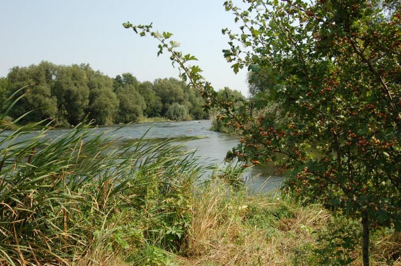 Соломія з panoramio.com - Соломія