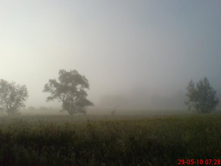 Вістова з panoramio.com - Вістова