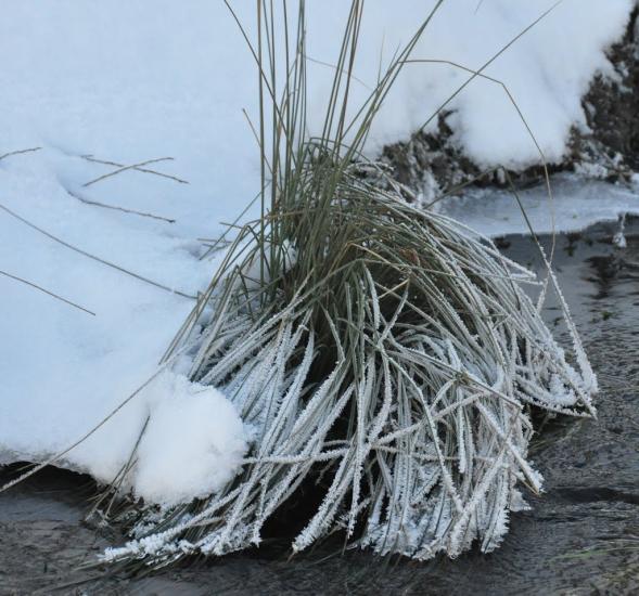 Любешка з panoramio.com - Любешка