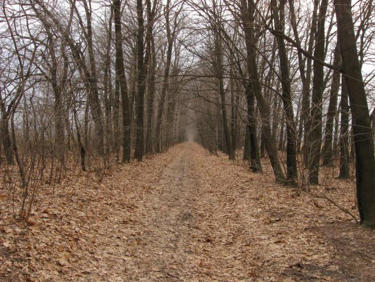 Ярмолинці з panoramio.com - Ярмолинці