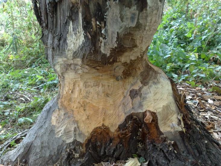 Таганка з panoramio.com - Таганка