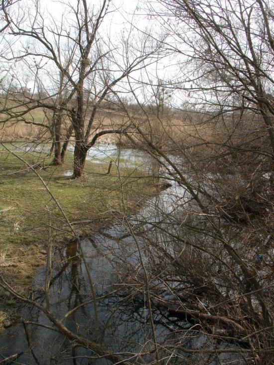 Дмитрівка з panoramio.com - Дмитрівка