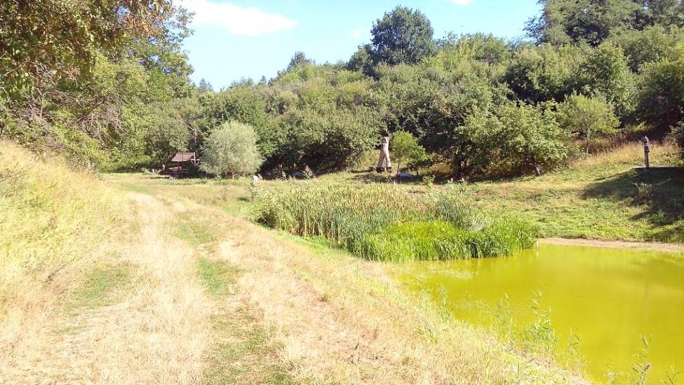 Моринці з panoramio.com - Moryntsi