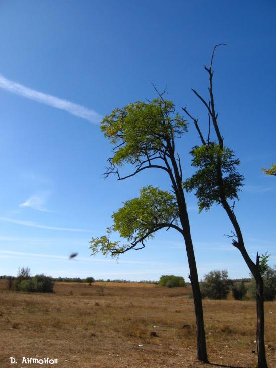 Христофорівка з panoramio.com - Христофоровка