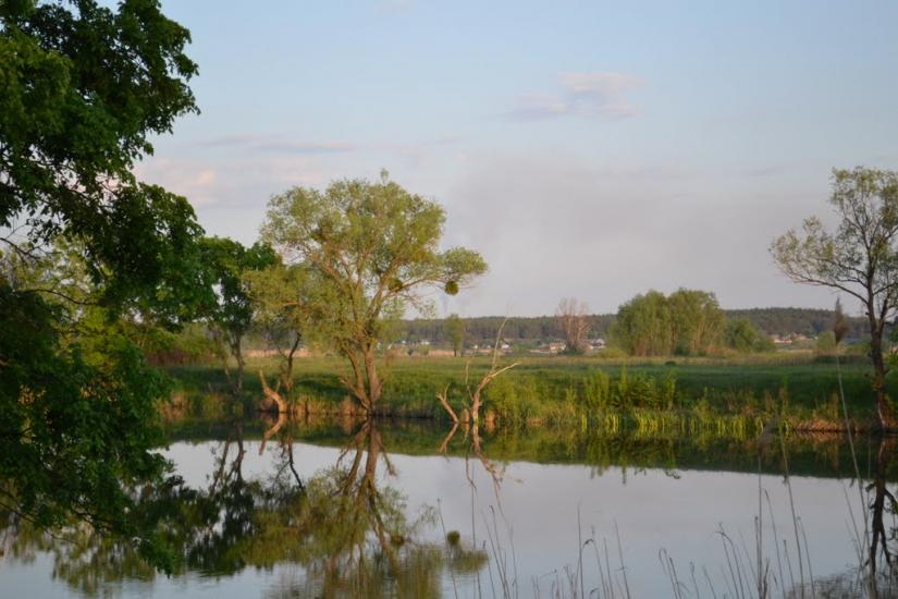 Зідьки з panoramio.com - Зідьки
