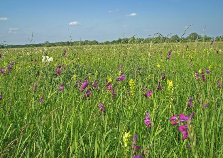 Балаклія з panoramio.com - Балаклея