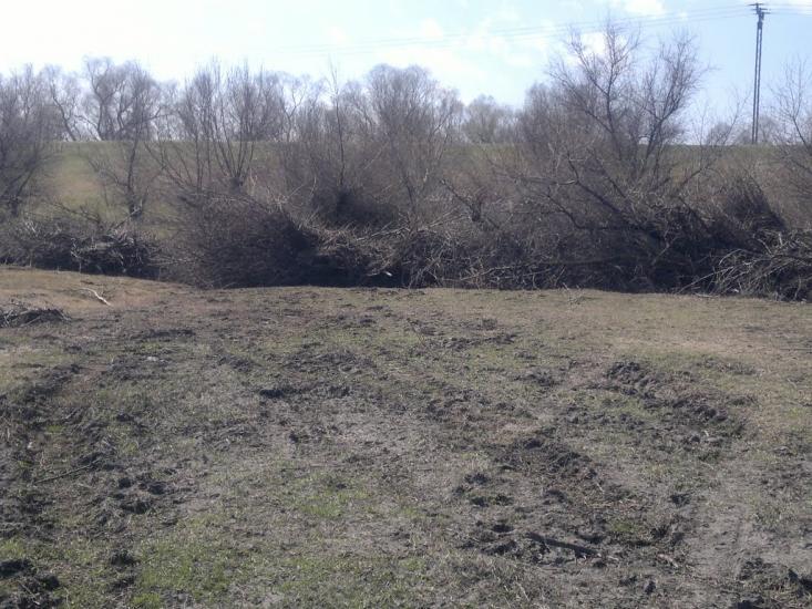 Стара Некрасівка з panoramio.com - Старая Некрасовка