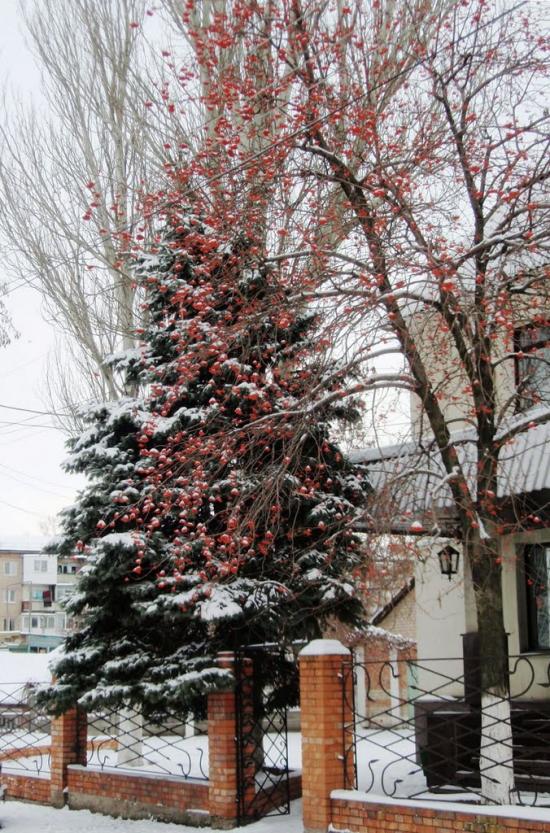 Пологи з panoramio.com - Pology