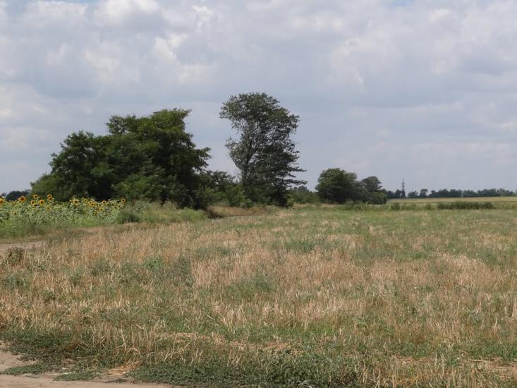 Охрімівка з panoramio.com - Охримовка
