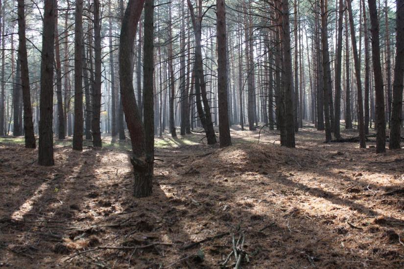 Хоцьки з panoramio.com - Хоцьки