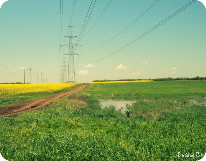 Дачне з panoramio.com - Дачне