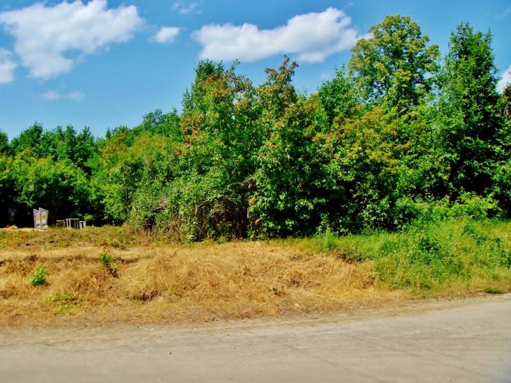 Неморож з panoramio.com - Неморож