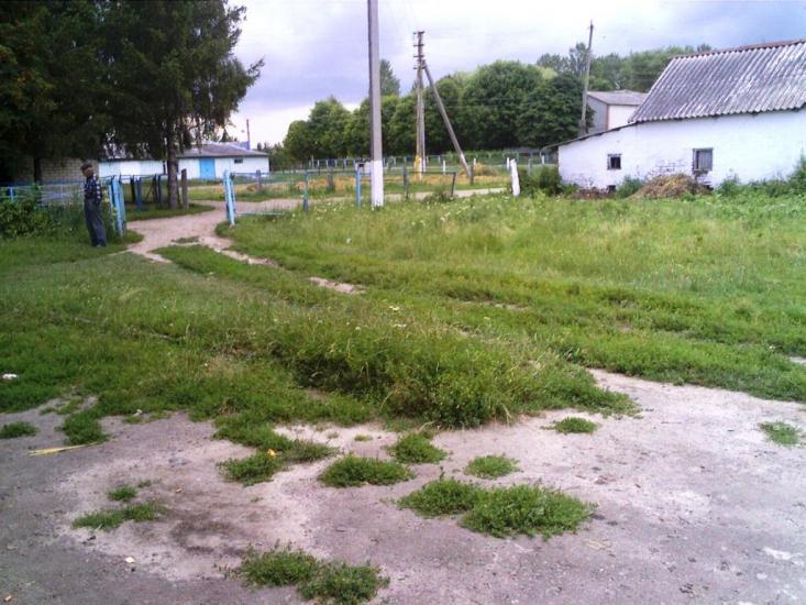 Рогізне з panoramio.com - Рогізне