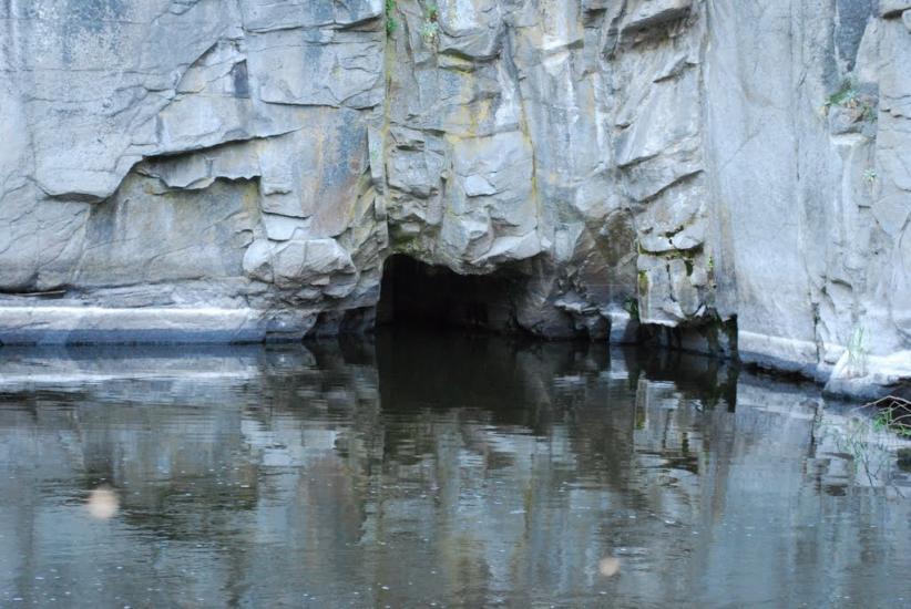 Буки з panoramio.com - Буки
