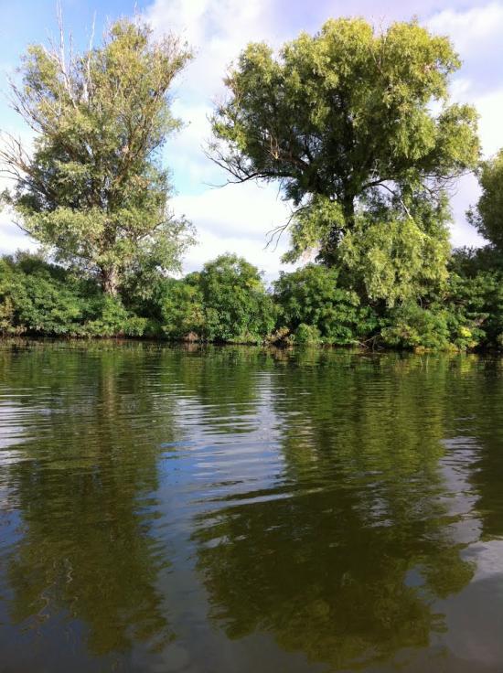 Кізомис з panoramio.com - Kizomys