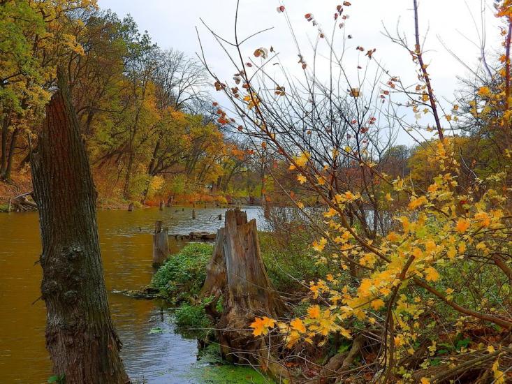 Олександрівське з panoramio.com - Олександрівське