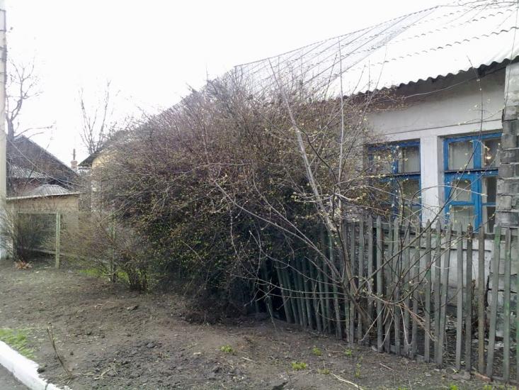 Новогродівка з panoramio.com - Новогродовка