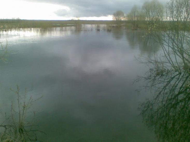 Містки з panoramio.com - Містки