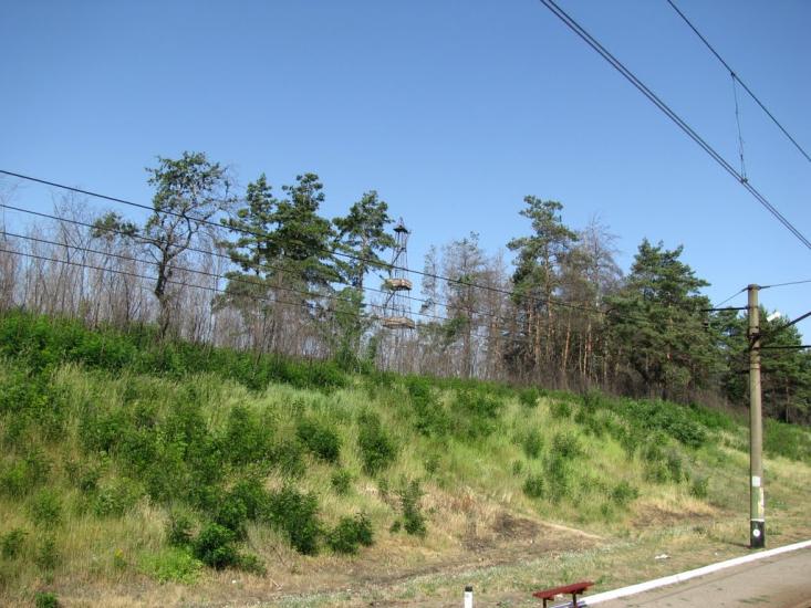 Борова з panoramio.com - Борова