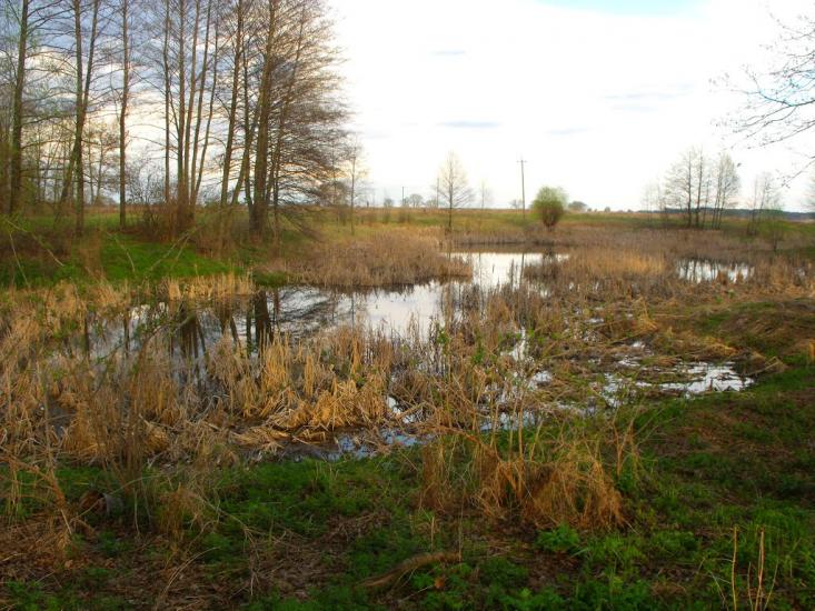 Дешки з panoramio.com - Дешки