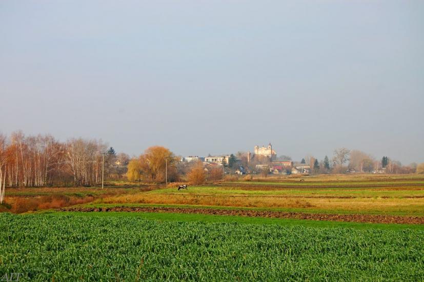 Великі Межирічі з panoramio.com - Великі Межирічі