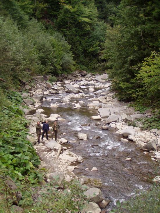 Буківцьово з panoramio.com - Буковцево