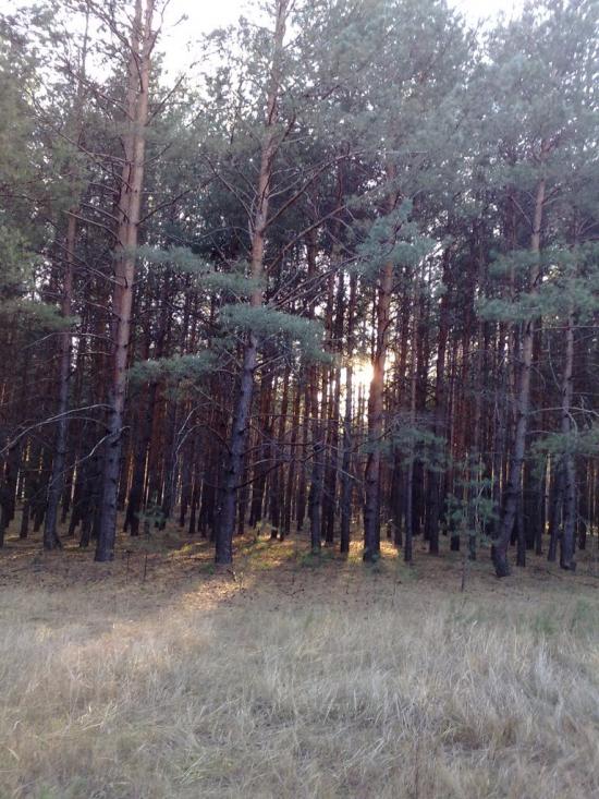 Прелесне з panoramio.com - Прелестное