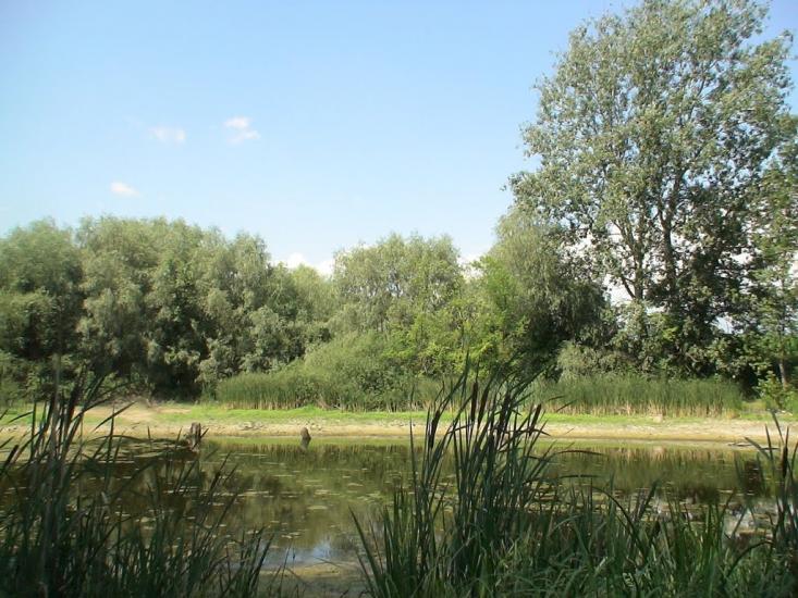 Остап'є з panoramio.com - Остапье