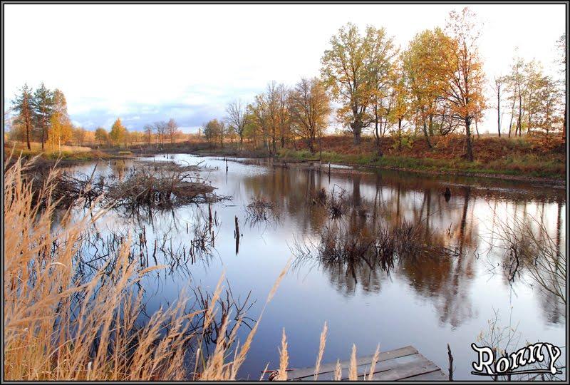 Тепениця з panoramio.com - Тепениця