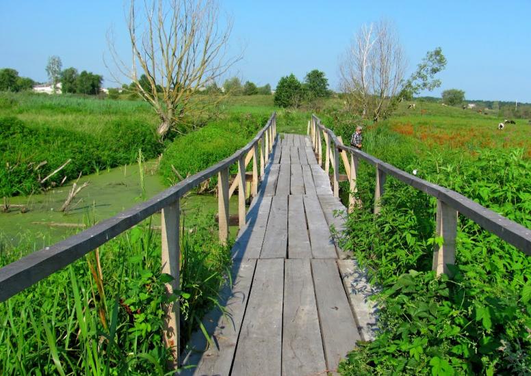 Кустин з panoramio.com - Кустин