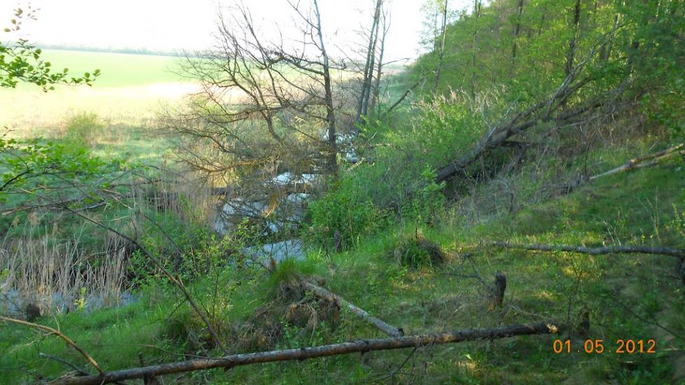 Селище з panoramio.com - Селище