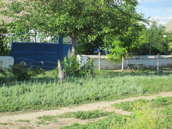 Єлизаветівка з panoramio.com - Елизаветовка