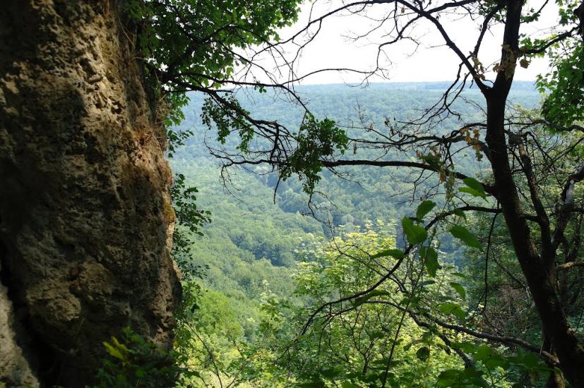 Нагоряни з panoramio.com - Нагоряны