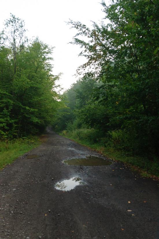 Чорноголова з panoramio.com - Черноголова