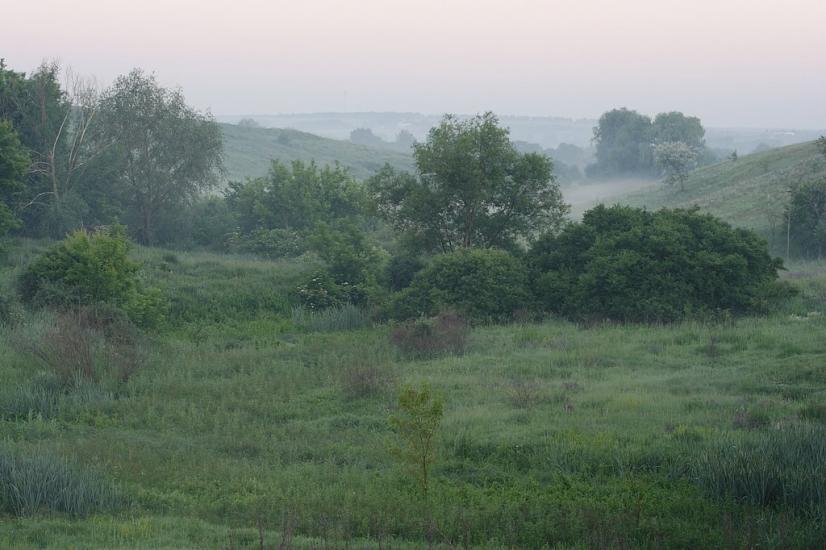 Дергачі з panoramio.com - Дергачи