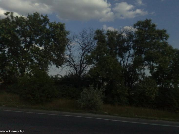 Верхня Криниця з panoramio.com - Верхня Криниця