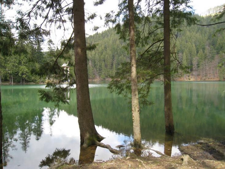Синевир з panoramio.com - Синевир