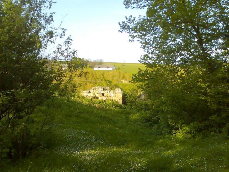 Блищанівка з panoramio.com - Блещановка