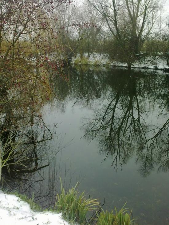 Ковалівка з panoramio.com - Ковалівка