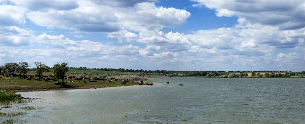 Златоустівка з panoramio.com - Златоустовка