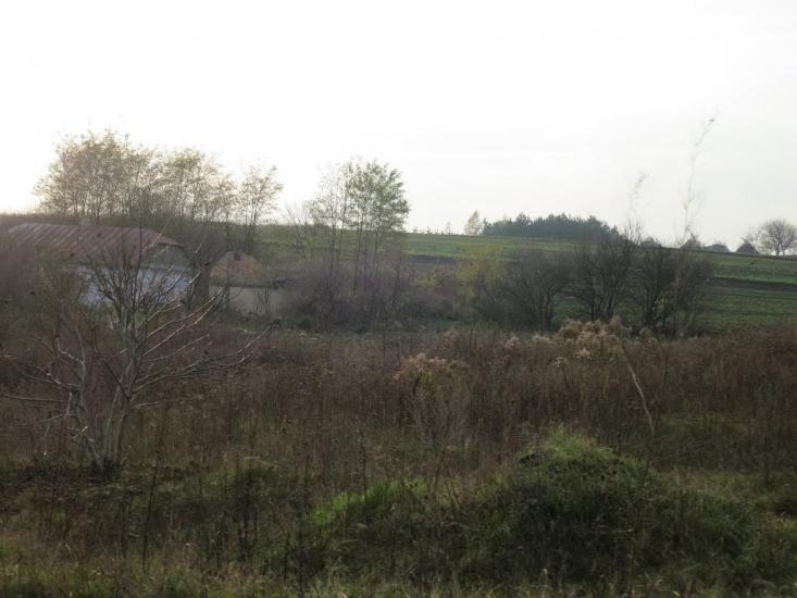 Підгірці з panoramio.com - Підгірці