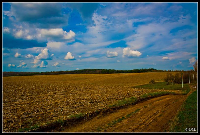 Заріцьк з panoramio.com - Зарецк