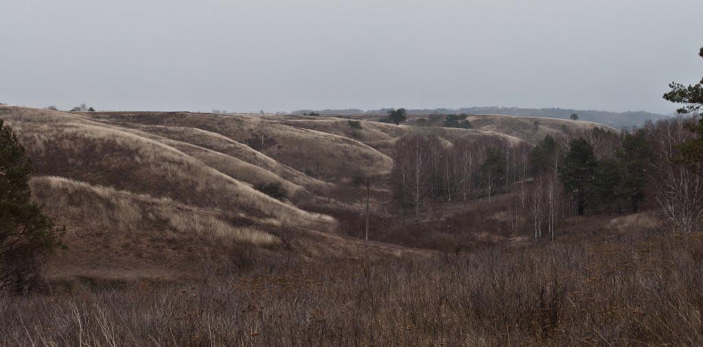 Мала Бугаївка з panoramio.com - Мала Бугаївка