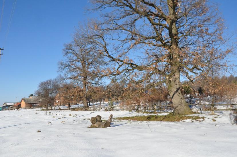 Стоки з panoramio.com - Стоки