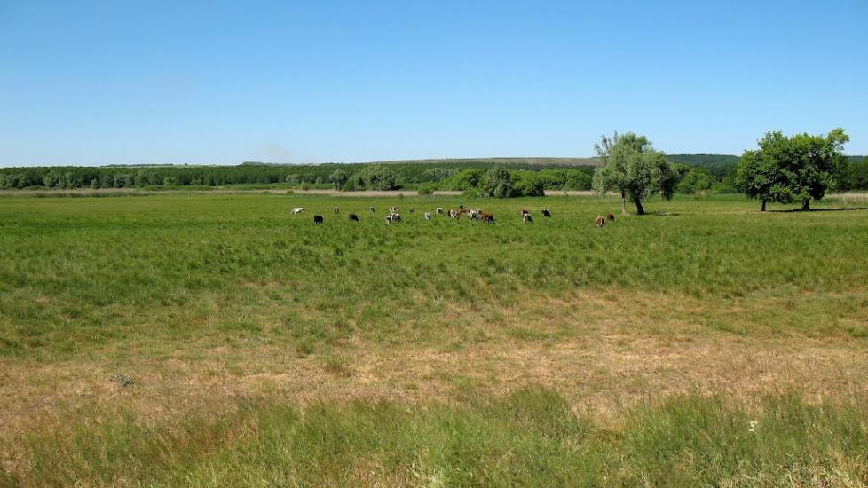 Олександрівка з panoramio.com - Олександрівка