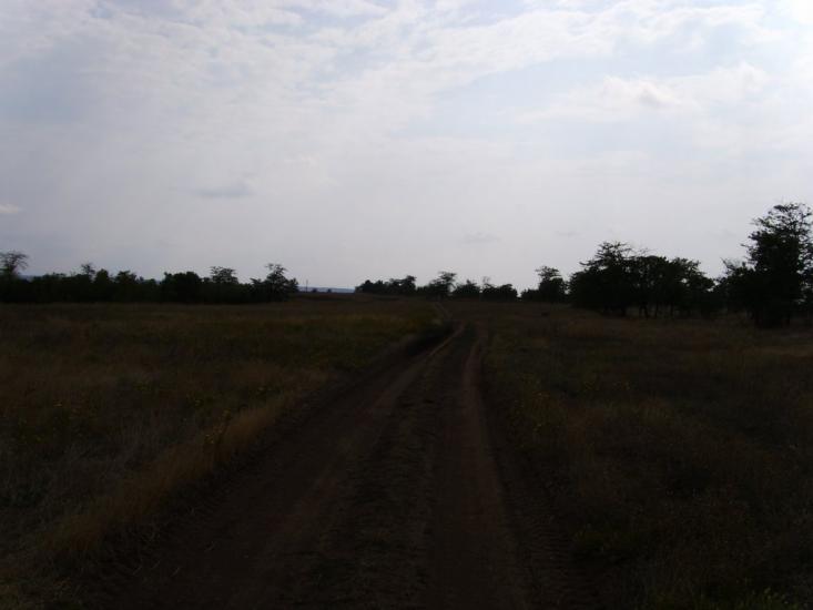 Березівка з panoramio.com - Березовка