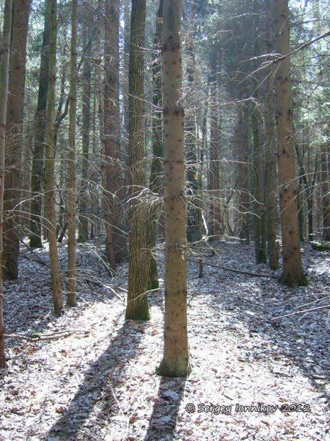 Андрушівка з panoramio.com - Андрушевка