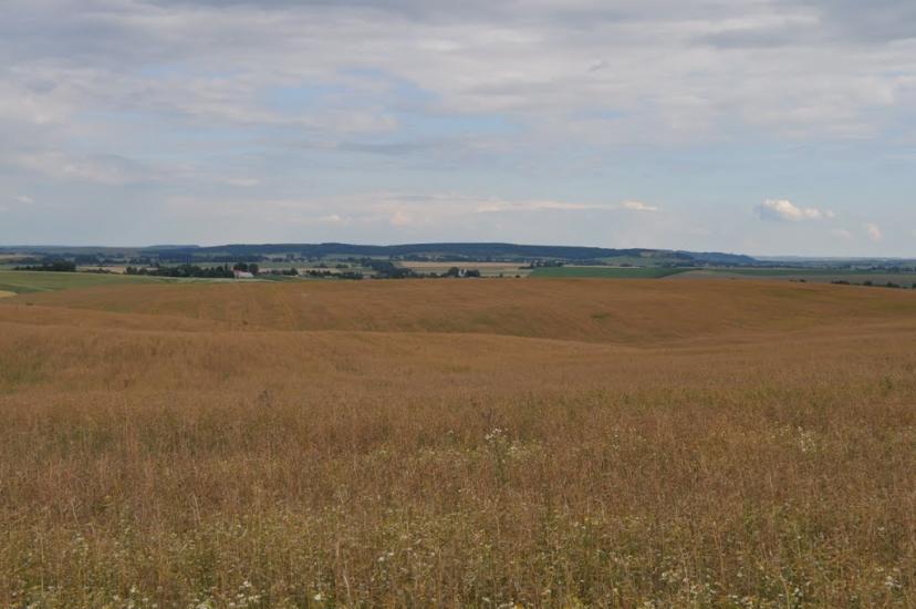 Заріцьк з panoramio.com - Зарецк